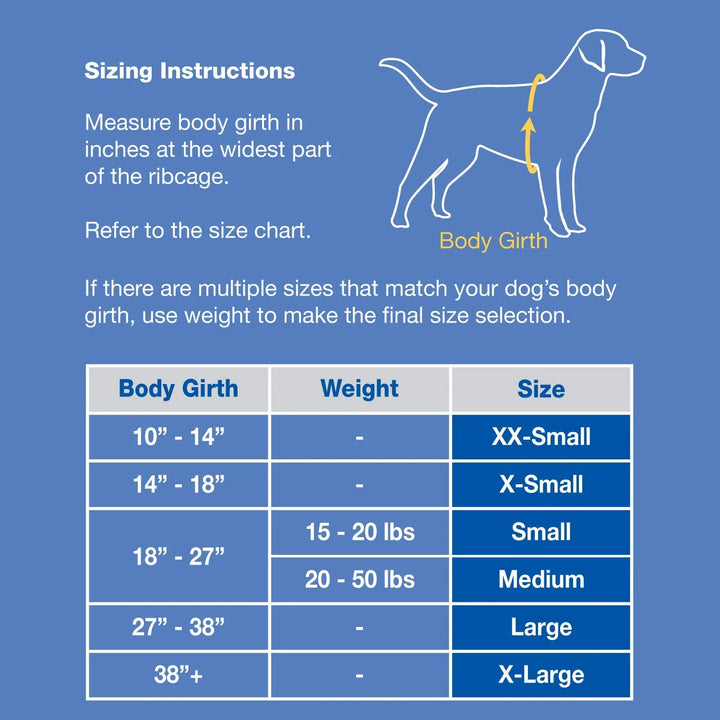 Dog Life Jacket - Keep Your Canine Safe with a Neoprene Life Vest - Designer Life Jackets - Perfect for Swimming and Boating - Pink/Silver Xx-Small