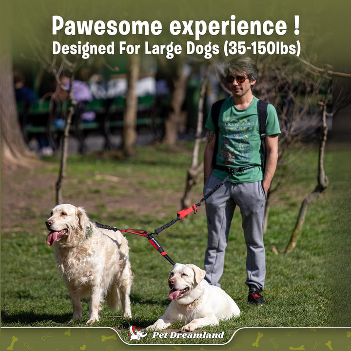Exquisite Hands Free Double Leash for Two Dogs No Tangle. Premium Quality & Versatile Running Your Two Large Dogs. You Will Absolutely Love This Amazing Dual Dog Leash (Black & Red)