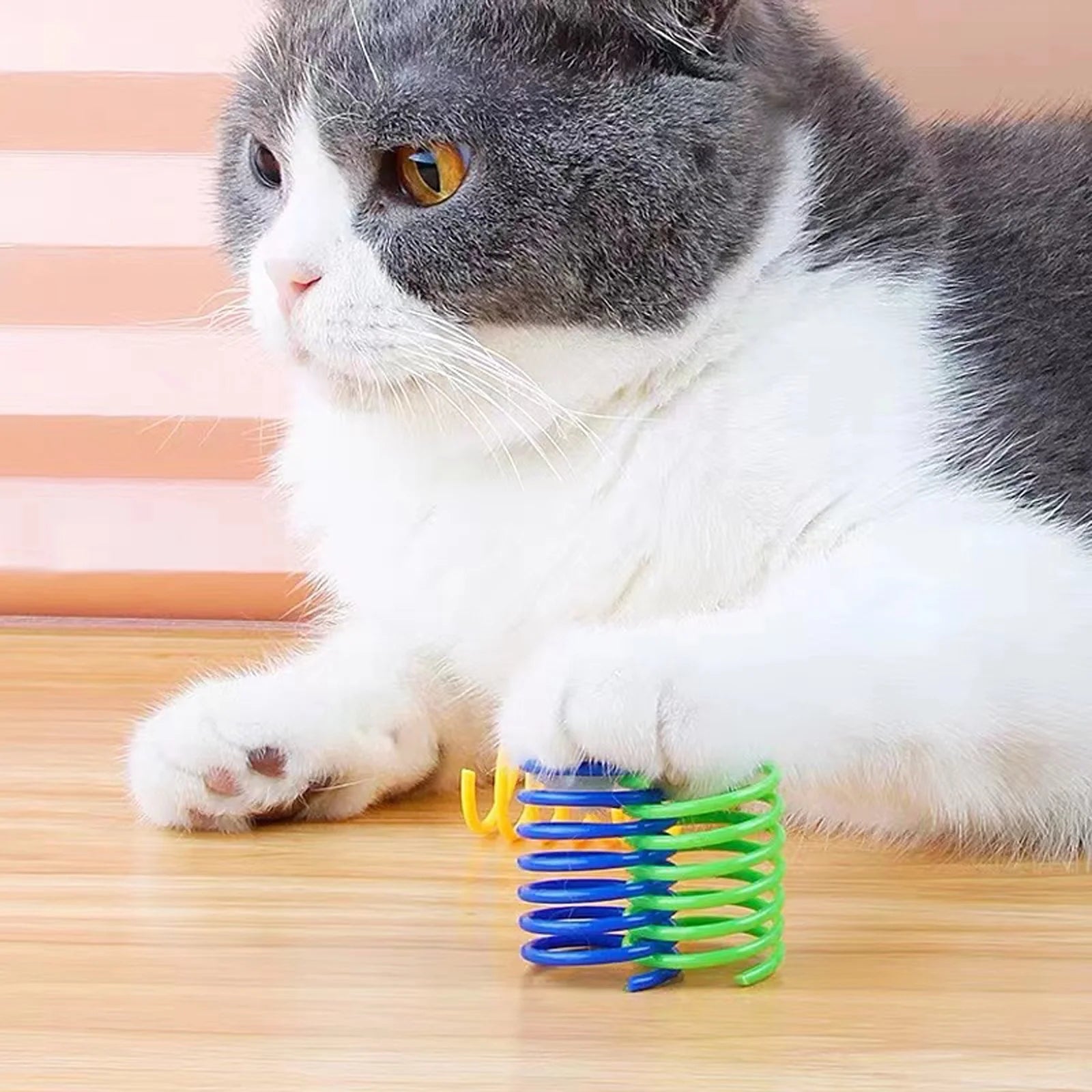 40 Pack Cat Spiral Spring, Cat Toys Spring for Indoor Cats, Durable Plastic Coils Colorful Cat Kitten Spring Toy Creative Toy for Swatting, Biting, Hunting